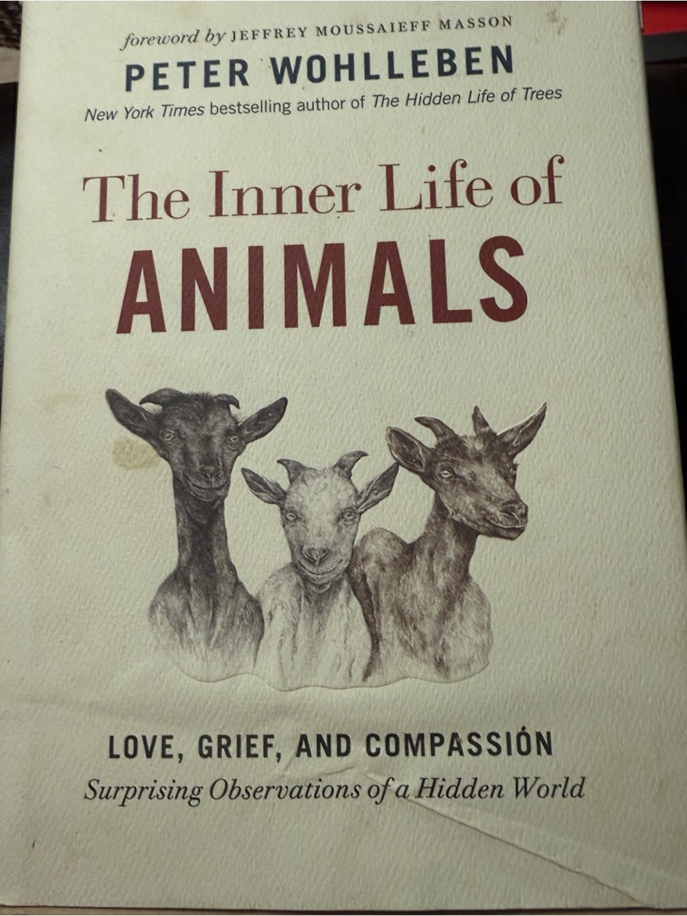 The Inner Life of Animals by — Cream Cover